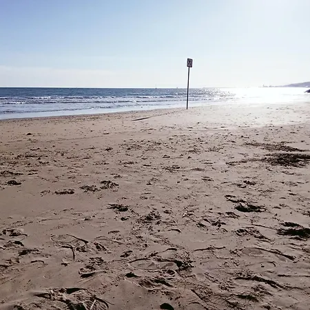 Brise De